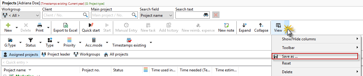 projektmanager_ansicht_speichern